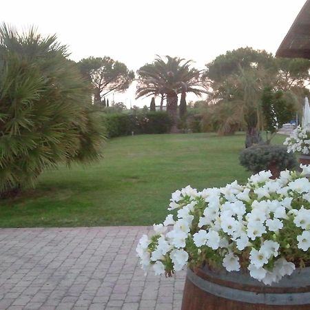 Agriturismo Cannavota 폴로니카 외부 사진